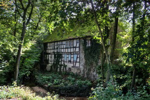 Westerbach, Alte Mühle Eschborn