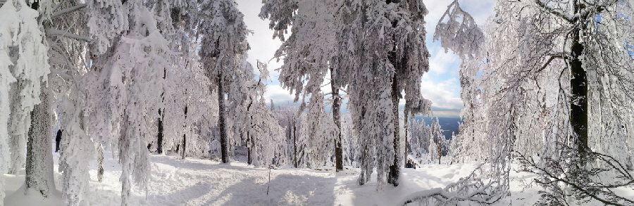 Winterlandschaft im Taunus im Januar 2021: Gipfel des Altknig