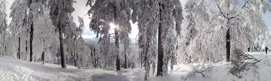 Winterwunderland: Schnee auf dem Altkniggipfel