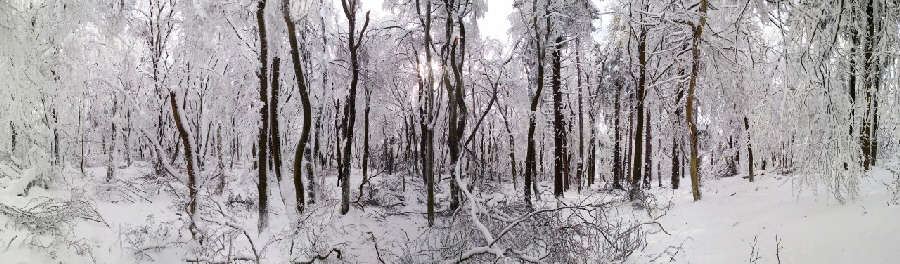 Verschneite und vereiste Bäume im Naturschutzgebiet Altkönig im Taunus