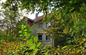 zugewachsene Rohbauten von Einfamilienhusern in der Frankfurter Nordweststadt