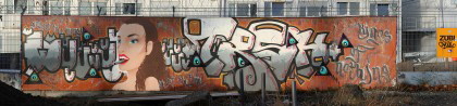 Graffiti am Bauzaun der EZB im Jan14