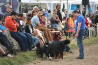 Poloturnier: Zuschauer mit Hunden