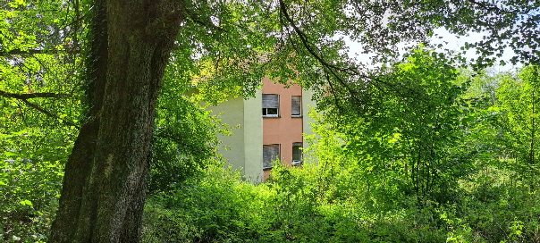 zuwachsendes Gebäude in Falkenstein