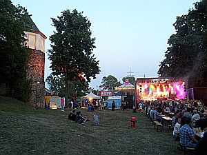 Schlossfest Hchst: 30-Party im Brningpark